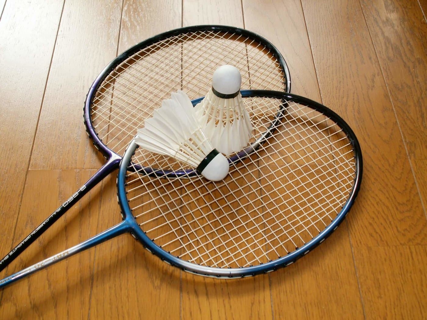 千川で初心者バドミントン練習会🏸